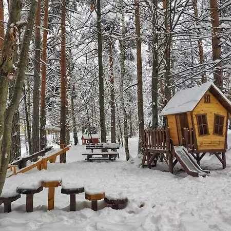 Tri Bora Divcigora Divčibare