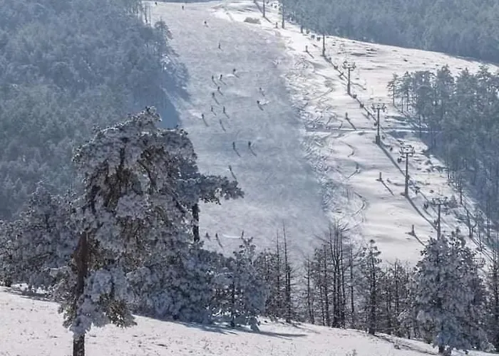 Tri Bora Divcigora Apartment