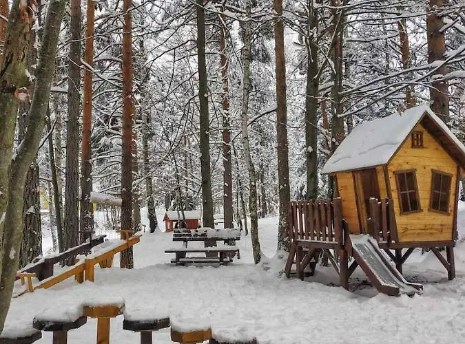 Tri Bora Divcigora Divčibare