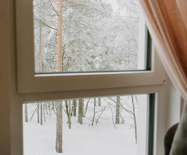 Apartment Tri Bora Divcigora