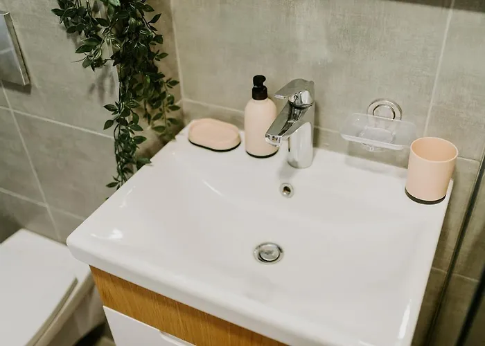 Apartment Tri Bora Divcigora *